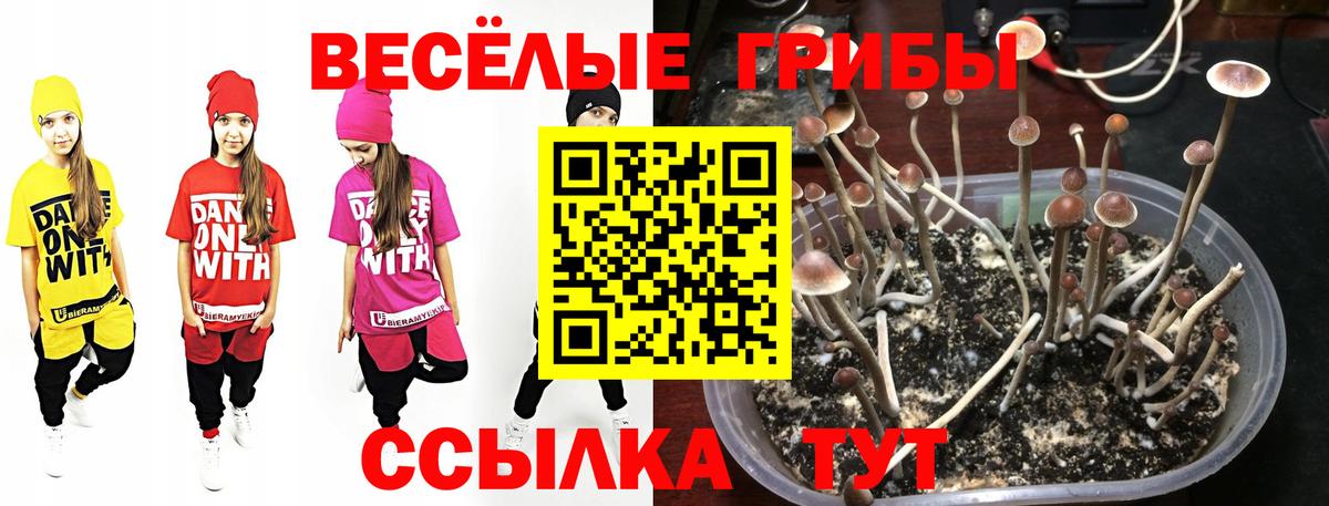 Галлюциногенные грибы Cubensis  Вход с VPN  Ирбит 